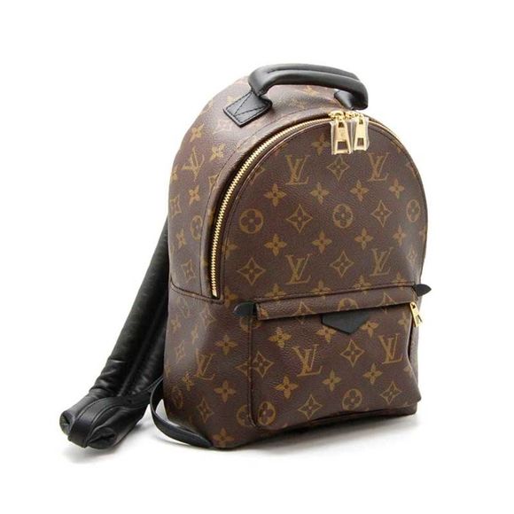 Louis Vuitton Palm Springs Backpack PM Monogram - Picture 1 of 8